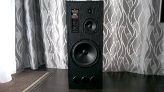 RRR SM300 speakers [upl. by Artekal496]