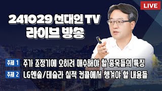 주가 조정기에 오히려 매수해야 할 종목들의 특징  LG엔솔테슬라 실적 컨콜에서 챙겨야 할 내용들 선대인 2차전지 [upl. by Sedlik]