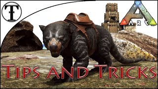 Fast Thylacoleo Taming Guide  ARK  Survival Evolved Tips and Tricks [upl. by Acyssej705]