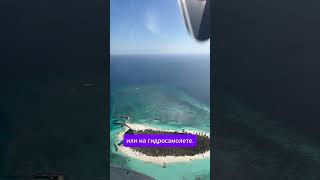 travel flydubai kuredu путешествия male maldives [upl. by Dyanna]