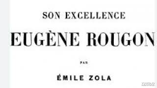 9 Emile Zola Son excellence Eugène Rougon livre audio partie 9 sur 13 [upl. by Einej248]