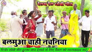 dhobigeetlachari बालमुआ चाही नचनिया  new dhobiya gana lachari video song 2023 [upl. by Maxima]