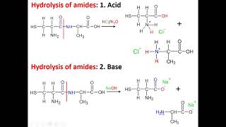 Hydrolysis of polyamides [upl. by Adnirual]