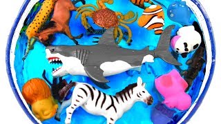 Lots of Zoo Wild Animals with Real Animal Videos And Toys For Kids Children [upl. by Ehr566]