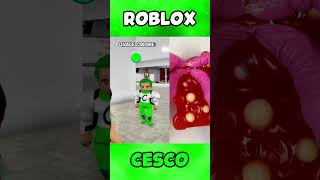 OGGI HO RICEVUTO IL COLORE VERDE SU ROBLOX 🤔 roblox [upl. by Cassaundra138]