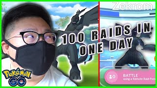 100 ZEKROM RAIDS IN ONE DAY BUT WAS IT WORTH IT  Pokemon GO [upl. by Eads]