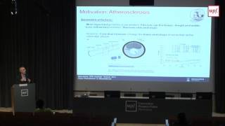 Mechanobiology and mathematical modeling of atheroma plaque initiation and development [upl. by Asiluj606]