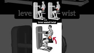 lever seated twist  Body building workout youtubeshorts [upl. by Bodrogi]