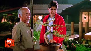 The Karate Kid Part III 1989  Strong Roots Scene  Movieclips [upl. by Gower209]