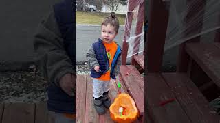 Toddler Is Adorably Outraged After Moose Eats His Pumpkin [upl. by Regnij]