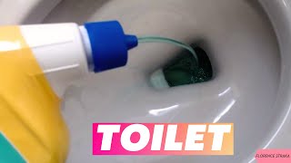 How To Clean Hard Water Stains In Toilet With Zep Toilet Cleaner [upl. by Bronwyn]