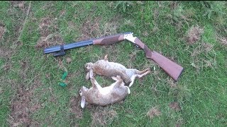 Browning B525 Two Shots Two Rabbits [upl. by Adleme]