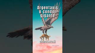 ARGENTAVIS O CONDOR GIGANTE [upl. by Horgan183]