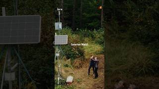 Erst Smartphone jetzt Smart Forest 🌳🤖 shorts Gigabitstrategie [upl. by Astred]