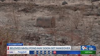 NMSU looking at potential rebuild of Alumni Pond [upl. by Siugram654]