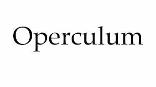 How to Pronounce Operculum [upl. by Ranie]