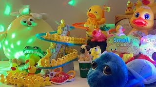 LET’S PLAY asmr asmrsounds asmrvideo satisfying toys duck cute relaxing play playtime [upl. by Jelena81]