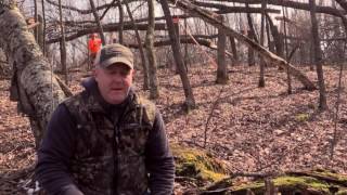 Whitetail Hinge Cut Bedding Strategies [upl. by Emmeram]