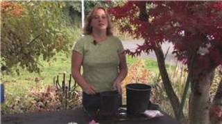 Gardening Tips  How to Plant Astilbe [upl. by Marala]