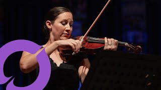 Ladies in Lavender  Main Theme  Sinfonieorchester Lienz · Katja Vergeiner [upl. by Resay536]