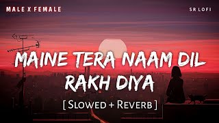 Maine Tera Naam Dil Rakh Diya Slowed  Reverb  Raghav Chaitanya Shreya Ghoshal  SR Lofi [upl. by Jeffers]