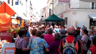 Alles Marille  Das Marillenfest in Krems an der Donau [upl. by Sharline599]