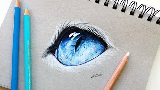 Realistic cat eye drawing with colored pencil  Leontine van vliet [upl. by Warfourd]