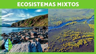 Los ECOSISTEMAS MIXTOS 🏝️🏞️ Características TIPOS de Ecosistemas Mixtos y Ejemplos [upl. by Thorne825]