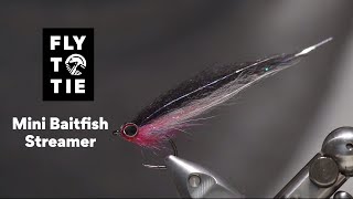 Mini Baitfish Streamer  FlyToTie Fly Tying [upl. by Hayikaz]