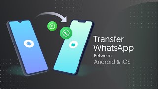 iCareFone Transfer to iPhone App Tutorial  The Latest Version for WhatsApp Transfer without PC [upl. by Canada]