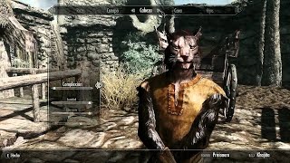 TES V  Skyrim  Creando a mi Ladrón DarZakesh [upl. by Marchese]