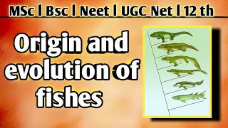 Origin and evolution of fishes in hindi notes Origin and evolution of fishes in msc zoology 4 sem [upl. by Natka792]