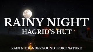 3 Hours of Rain And Thunder Sound ☔ Hagrids Hut Rainy Night  Harry Potter Music amp Ambience ASMR [upl. by Weaver980]