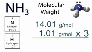 Molar Mass  Molecular Weight of NH3 Ammonia [upl. by Belia]