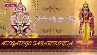 Shabhari Ayyappa Niku  Lord Ayyappa Devotional Songs  Ayyappa Bhajana Songs [upl. by Yeldarb]