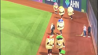 ICONIC PIEROGI RACE AT PNC PARK [upl. by Aztilay802]