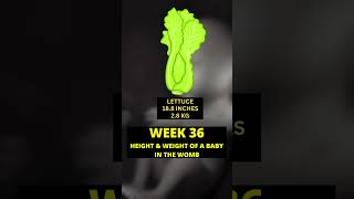 36 weeks pregnant  9 months of pregnancy  baby growth in pregnancy  week by week pregnancy [upl. by Jared]