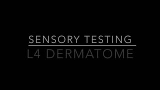 Sensory Testing L4 Dermatome [upl. by Nevad]