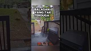 Balasan yang tak terduga shortvideo [upl. by Magdala]