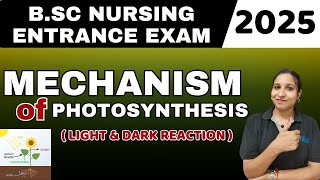 mechanism of photosynthesis BSc nursing entrance exam 2025  biology  light amp dark reactions [upl. by Aniez351]