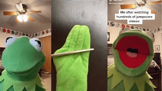 Funniest Kermit on TikTok Videos Compilation Best kermitontiktok 2023 [upl. by Gehman]