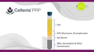 Cellenis PRP How it works [upl. by Ajile]