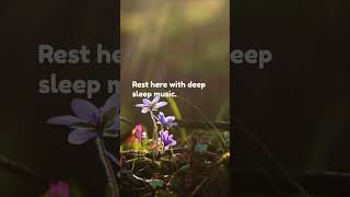 Quiz Break Relaxing Music for Anxiety Relief Insomnia and Deep Sleep  12 hours [upl. by Winifield]