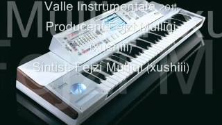 valle Instrumentale █▬█ █ ▀█▀ 2011  xushiii [upl. by Oiralednac566]