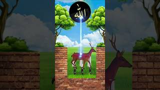 newislamicvfxvideo❤️💫youtubeyoutubeshortsislamicvfxshortsviralvideoshortsfeed [upl. by Noemis]