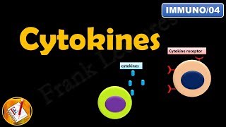 CYTOKINES  ILs INFs TNFs CSFs and Chemokines FLImmuno04 [upl. by Nuavahs]