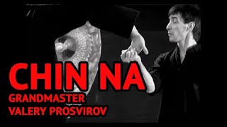 Chin Na is Chinese Martial Arts Techniques to Control or Lock Opponents Joints [upl. by Bandler]