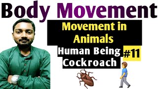 Class6 Science Guru  Chapter8  Movement in Animals  NCERT  CBSE  Biology  11 [upl. by Willey432]