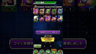 カテゴリDOKKANフェスナメック星編  Category Dokkan Festival Planet Namek Saga [upl. by Channa]