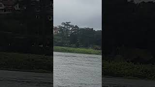 Royal Families Sea Plane takes off from Gregory Lake  Nuwara Eliya [upl. by Ernald]